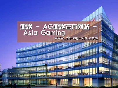 案例展示五